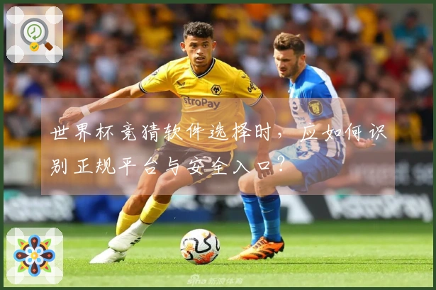 世界杯竞猜软件选择时，应如何识别正规平台与安全入口？