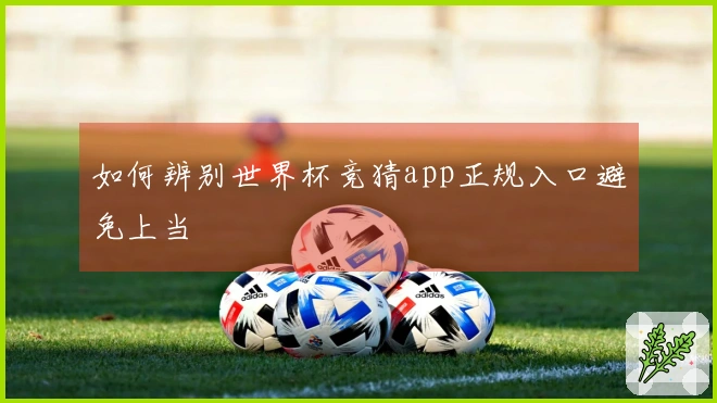 如何辨别世界杯竞猜app正规入口避免上当